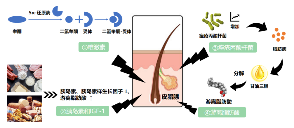 祛痘产品,祛痘功效测定,化妆品,监督
