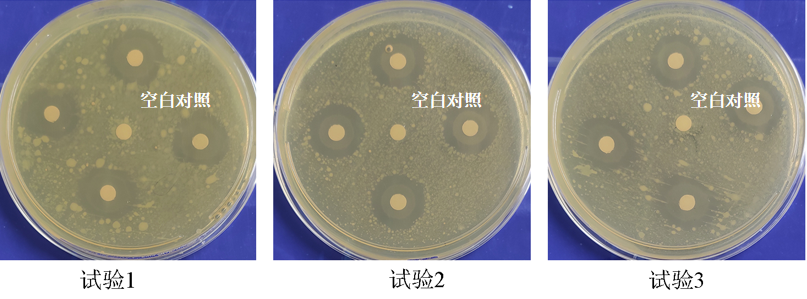 祛痘产品,祛痘功效测定,化妆品,监督