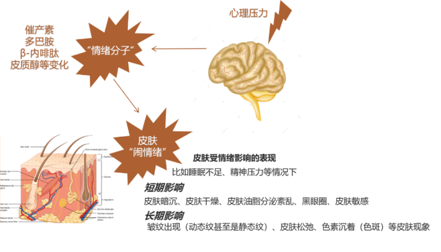 化妆品,评价,皮肤情绪,护肤