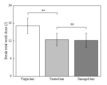 体外真发,头发热损伤,模型研究,CIRS,功效评价,技术实践