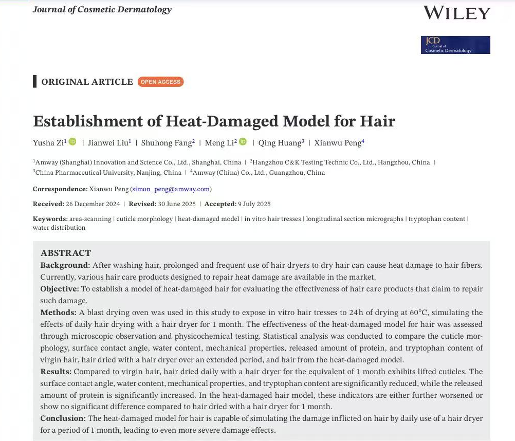 体外真发,头发热损伤,模型研究,CIRS,功效评价,技术实践