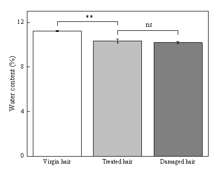 体外真发,头发热损伤,模型研究,CIRS,功效评价,技术实践