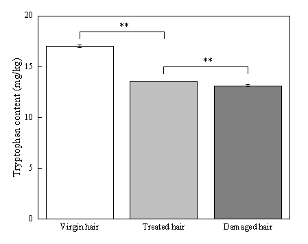 体外真发,头发热损伤,模型研究,CIRS,功效评价,技术实践