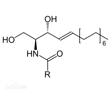 化妆,抗皱,活性物质,皱纹,玻尿酸,视黄醇